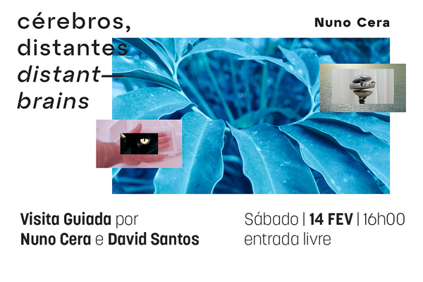2026_02_14_cerebros_distantes___visita_guiada_1280x848